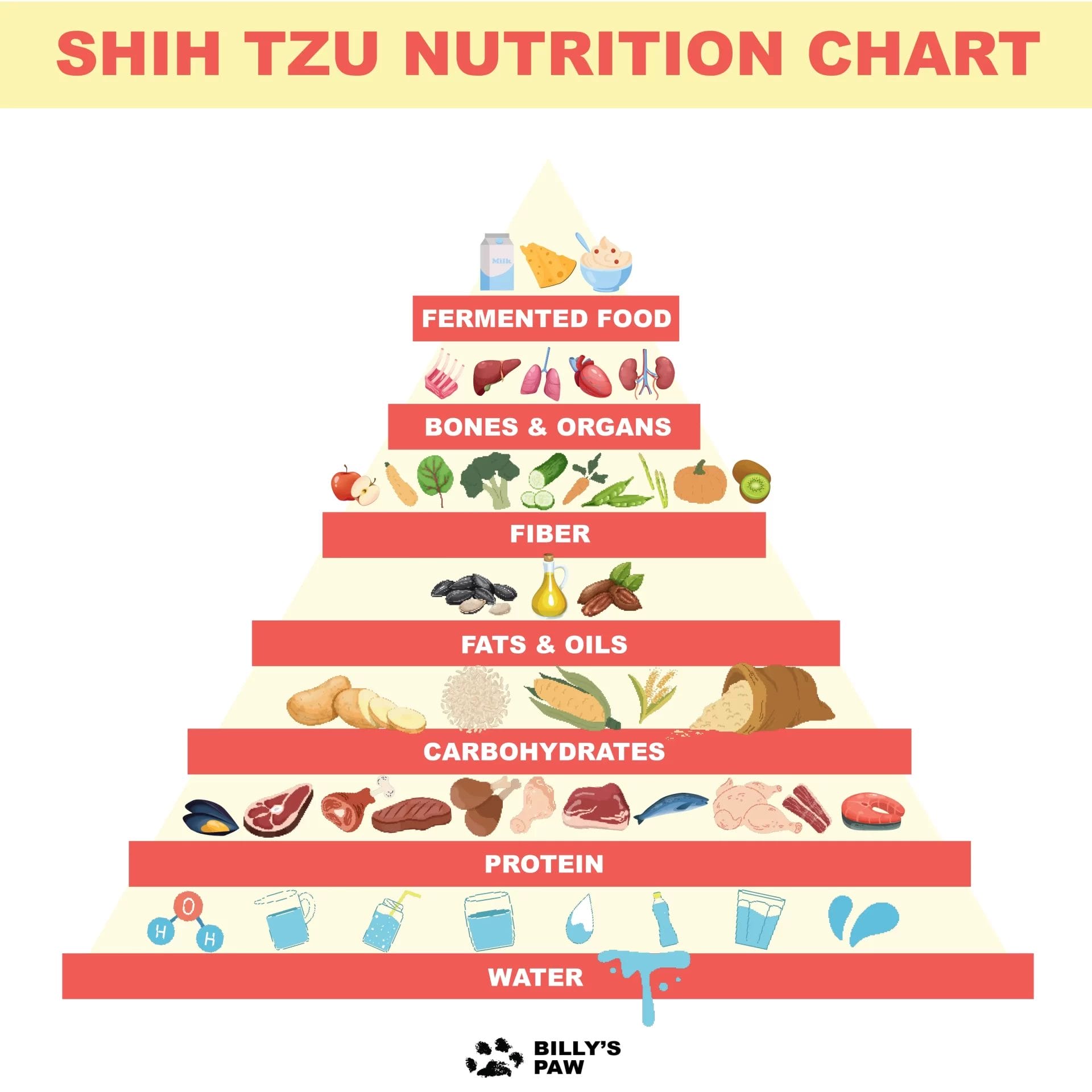 Shih Tzu Nutrition Chart